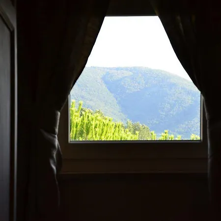 La Bella Lucca فندق 3*
